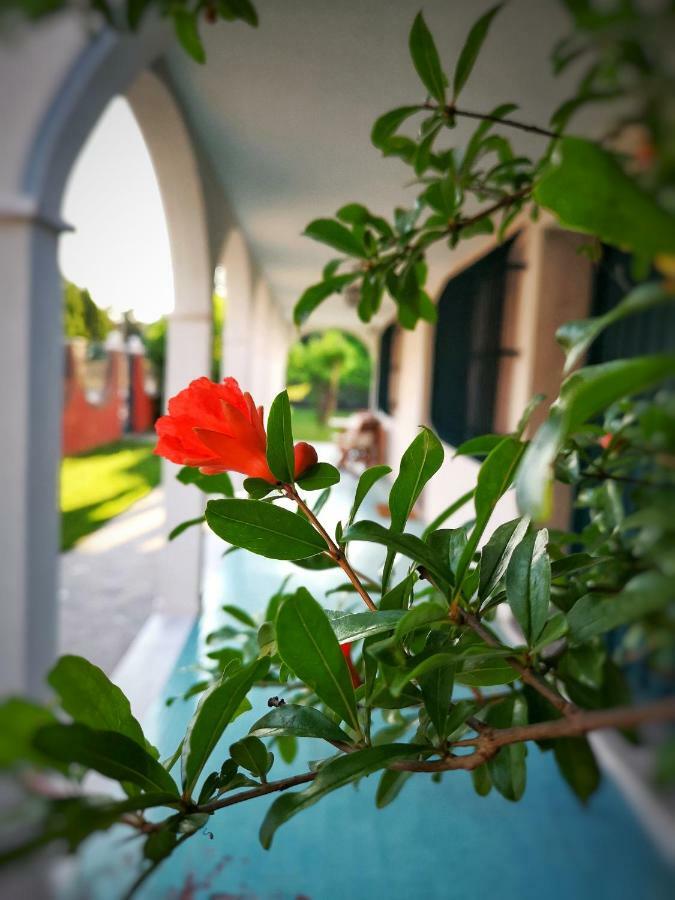 Casa Del Vigneto - New Near Venice - Rooms+Bathroom - Independent 스피니아 외부 사진